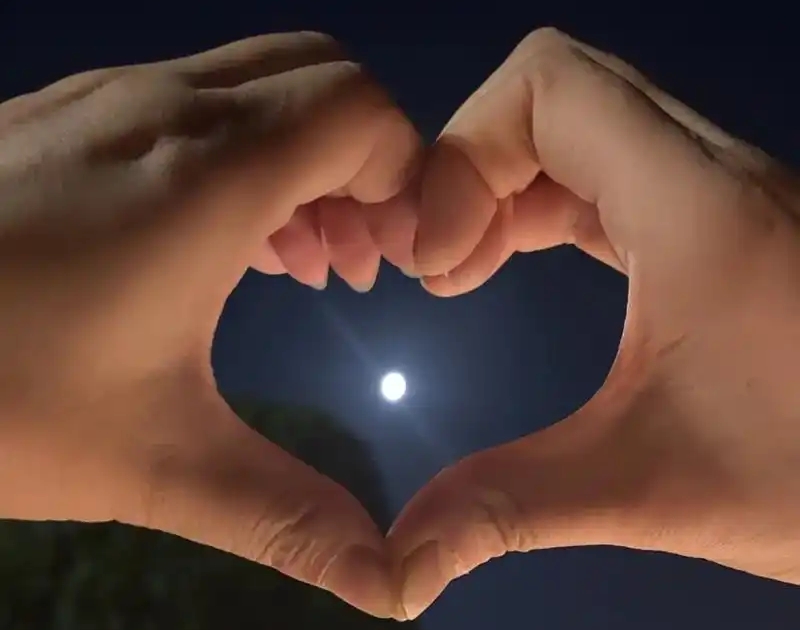 超级月亮之下，你的身体在说话——握己，读懂你的生物节律